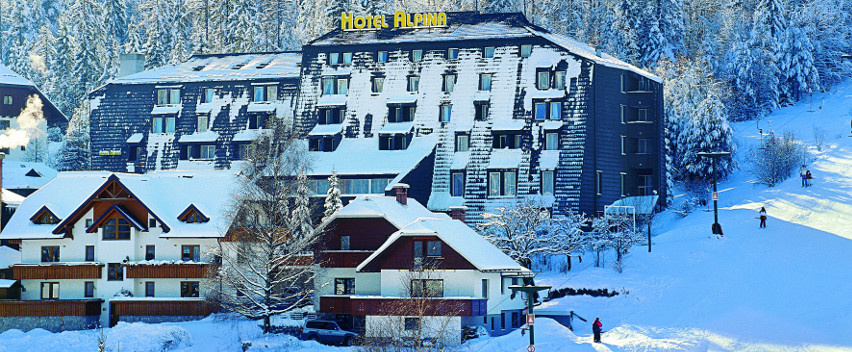 Отель Альпина