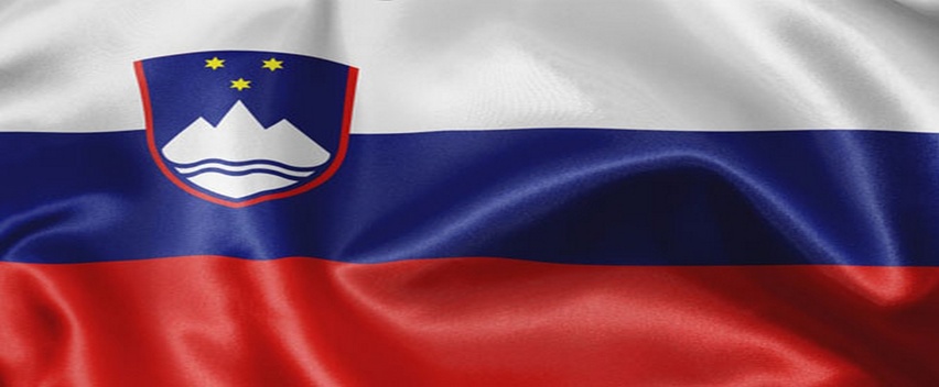 Корректировка пакета документов на визы в Словению Венгрию